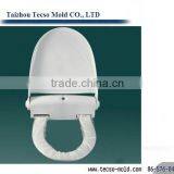 Professional Plastic Toilet Seat Cover Mould Supplier in China thumbnail-1