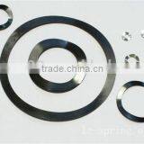 High Precision Crest to Crest Stainless Steel Wave Springs thumbnail-2