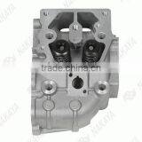 NAKAYA-Spare Parts-Cylinder Head Assy