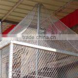 Stainless Steel Aviary Mesh for Parrots