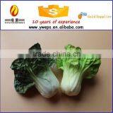 Artificial green vegetable for sale/ fake Chinese cabbage for kitch decoration