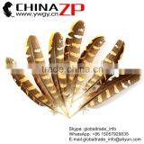 No.1 Supplier CHINAZP Top Selling 20-25cm Length Natural Reeves Venery Wing Pheasant Feathers for Decorations thumbnail-1