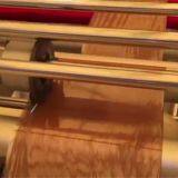 Automatic Wood Transfer Film Welding Machine thumbnail-3
