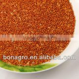Best selling red millet,new crop