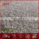 Organic One Bulb Fresh One Clove Garlic thumbnail-2