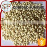 Organic Peanut Buyers 1kg Price thumbnail-5