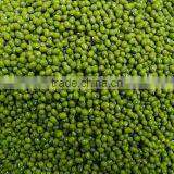 Hot Split Dried Green Mung Bean From Viet Nam Good Packaging thumbnail-1