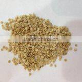 Greenhouse Seeds Tomato Seeds Best Quality for Plant