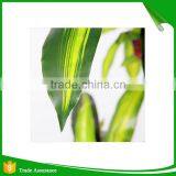 Real Touch Artificial Brazil Dracaena Decorative Silk Plant in Pot thumbnail-5
