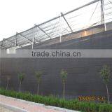 Plastic Greenhouse for Vegetable/Flower Raising thumbnail-1