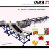 FGX-DZelectronic Fruit Grading Machine