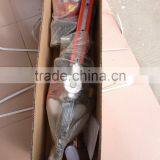 Double Blade Gasoline Hedge Trimmer With CE thumbnail-6