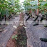 Greenhouse Price thumbnail-2