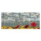 Galvanized Steel Frame Greenhouse for Flowers thumbnail-2