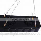 180W MCOB Led Grow Light for Indoor Greenhouse Growing Medical Plants thumbnail-4