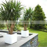 Glazed Decorative Square Plastic Flower Pots thumbnail-3