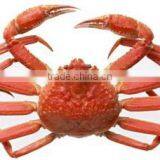 Snow Crab Legs thumbnail-4