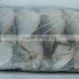 Moonfish thumbnail-4