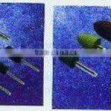 Abrasive Tool--professional Spongy Grinding Head SGH5(2741) thumbnail-1