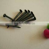 Round Head Shoe Nail thumbnail-4