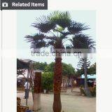 Artificial Big Trees Coconut Tree Artificial Coconut Palm Tree thumbnail-4