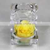 Good Selling Top Quality Preserved Natural Rose Flower In Box As Ladies Gift Items