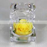 Natural Preserved Fresh Flowers Preserved Roses Wholesale For Wedding Birthday Lovers Gift thumbnail-2