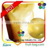 Protect Cover Pear Protection Paper Bag Fruit Protection Paper Bag thumbnail-1