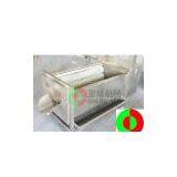 Vegetable Washing Machine (with Brush Roller) thumbnail-1