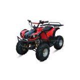 Electric ATV-300w
