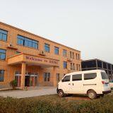 Doing Holdings - Henan Jinrui company overview - view 1 thumbnail