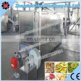 High Efficiency Mesh Belt Grain Dryer Machine /Multi-layer Mesh Belt Dry Machine thumbnail-2