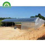 2019 High Strength Multispan Vegetables Greenhouse With Plastic Film for Sale thumbnail-3