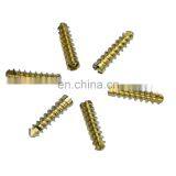 Hot Sale Bone Surgery Instruments Titanium 2.4mm Locking Screws Maxillofacial Locking Plates Orthopedic Surgical Implants