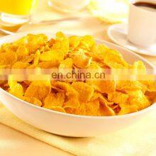 Popular Fried Snack Pellet Chips Food 
