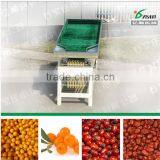 High Efficiency Factory Jujube Sorting Machine thumbnail-5