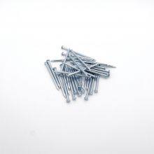 Fluted Shank Concrete Steel Nails With Technical Support for Professional Builders thumbnail-1