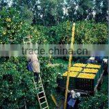 One-section Step Single Straight Aluminum Ladder thumbnail-2