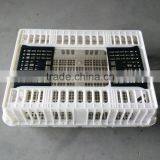 Chicken Cage for Live Poultry Farming thumbnail-2