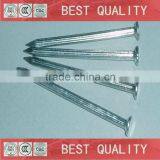 Good Quality Electro Galvanized White Common Iron Nail thumbnail-1