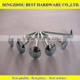 Twist Shank Roofing Nail thumbnail-4