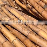 Powder rattan cane 22-30mm