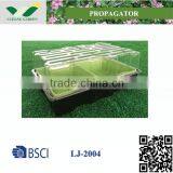 Disposable Plastic Nursery Plant Trays and Lids LJ-2004