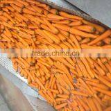 Sweet Fresh Carrot With Competitive Price thumbnail-3