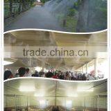 E1321 Agricultural Hand Tools thumbnail-1