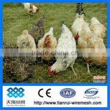 Galvanized Hexagonal Wire Mesh Chicken Wire thumbnail-1