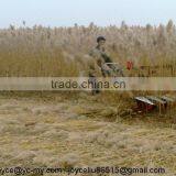 2016 New Harvester Type for Reed Harvester thumbnail-2