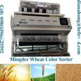 Special Designed Color Sorter Equipment/wheat Color Sorter Manufacturer thumbnail-6