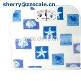 Cheapest Bathroom Weight Scale