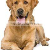 Sportmix High Energy Chunk Dry Dog Foods thumbnail-4